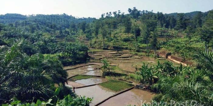 Cikidang Menuju Kawasan Ekonomi Khusus