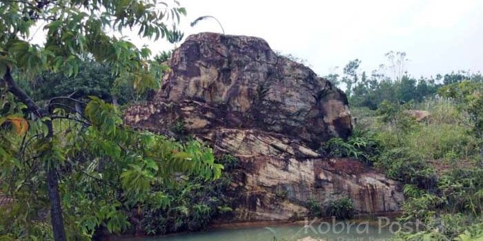 Indahnya Hutan Bekas Pertambangan PT. Holcim di Cibadak Sukabumi
