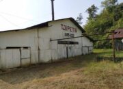 Tjipetir Yang Mendunia