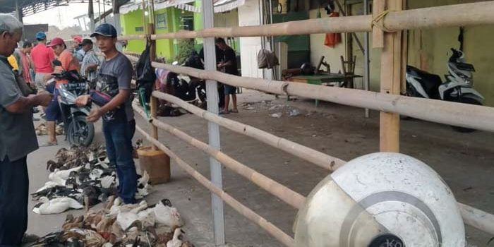 Awning di Pagar, Pedagang Hewan Pasar Lama Cikarang Terganggu