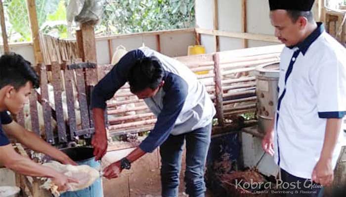 Usaha Potong Hewan