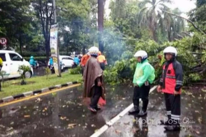 Warga Kp Cijahe Tewas Menyenggol Truk Saat Hindari Ranting Pohon