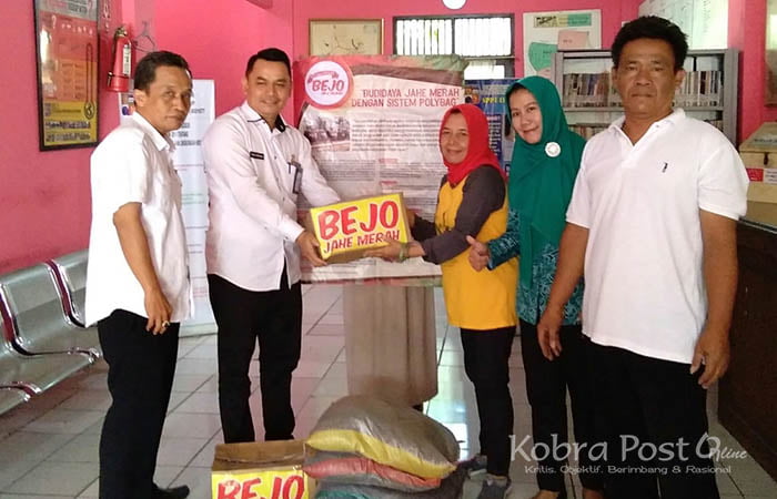 Kelurahan Babakan Siap Sukseskan Lomba Taman Herbal Bejo