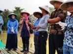 Koperasi CMB Tebar 500 Kg Bibit Ikan Patin