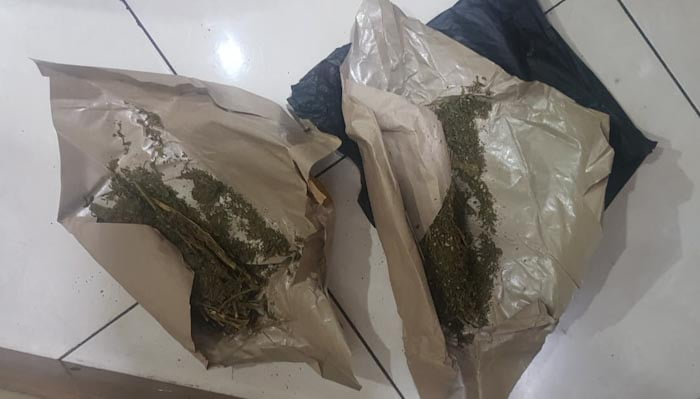 Barang Bukti Ganja