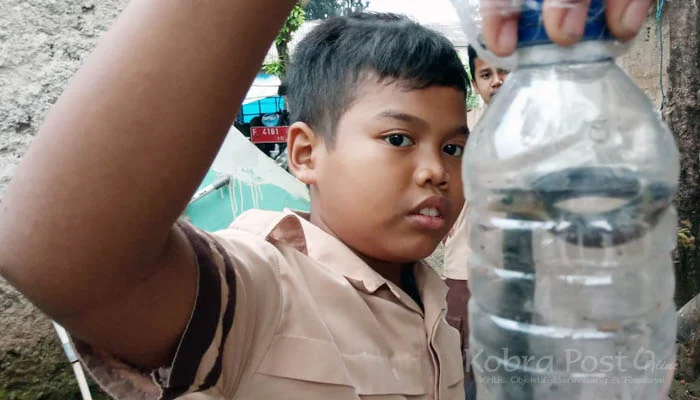 Bocah dari Kencana si Penakluk Ular Kobra Bocah