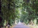 Leuweung Samidha Cikal Bakal Kebun Raya Bogor