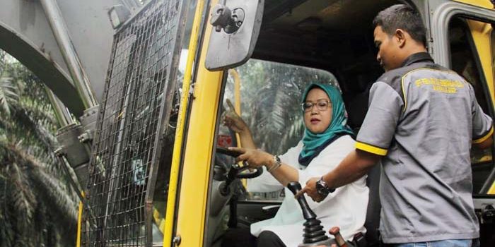 Ratusan Pohon Kelapa Sawit PTPN Cikasungka di Robohkan