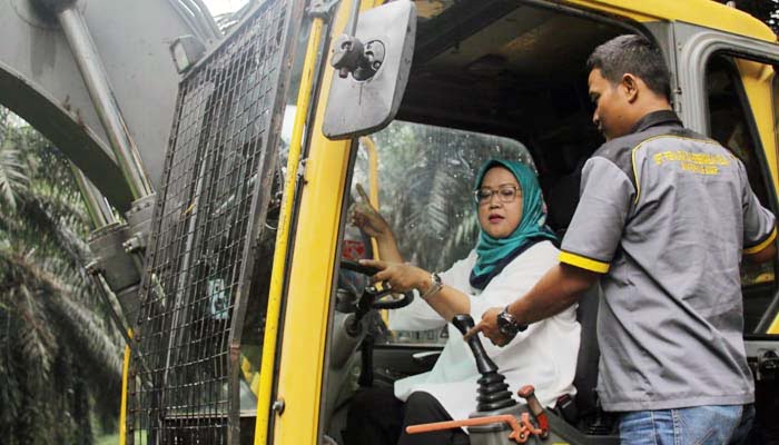 Ratusan Pohon Kelapa Sawit PTPN Cikasungka di Robohkan