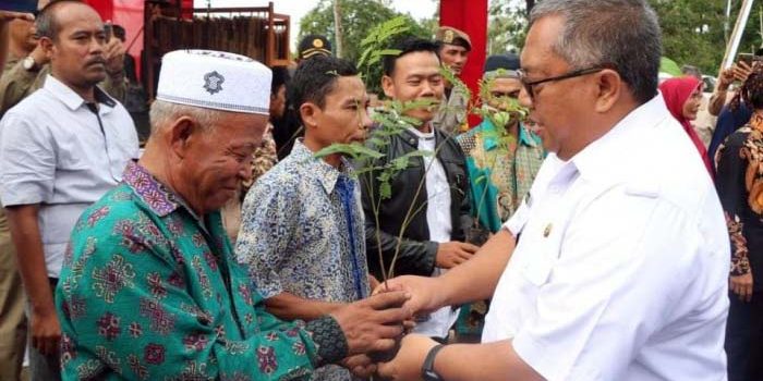 Bupati Sukabumi Bagikan 60 Ribu Bibit Tanaman