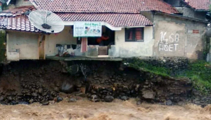 Sungai Ciliwung Meluap, Tebing di Lebak Pilar Sempur Longsor Sungai Ciliwung Meluap, Tebing di Lebak Pilar Sempur Longsor