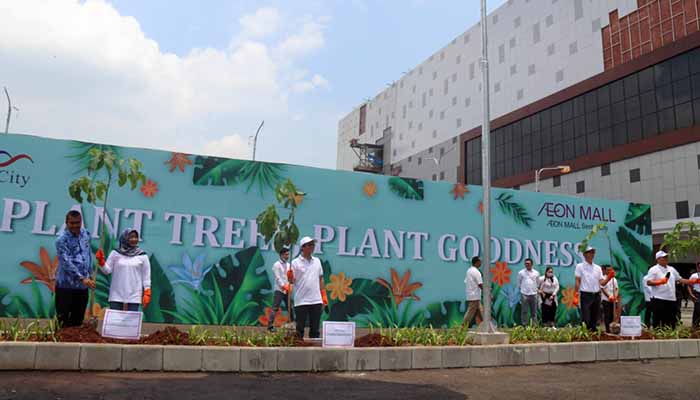 Tanam Pohon Tabebuya