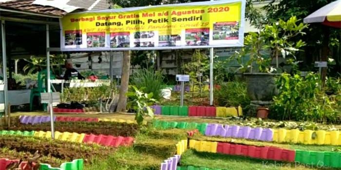 Kaya Akan Inovasi, KWT Kentagor Makin Dilirik