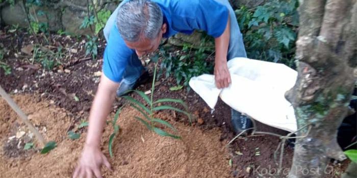 Melihat Kiprah KWT Kenanga Babakan Bogor Tengah