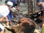 SWI Bekasi Laksanakan Ibadah Qurban