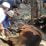 Qurban