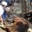 Qurban