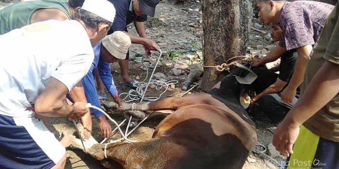 SWI Bekasi Laksanakan Ibadah Qurban