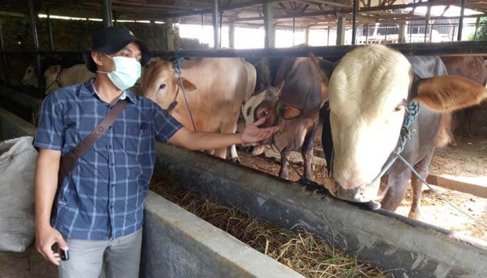 Pembelian Hewan Qurban