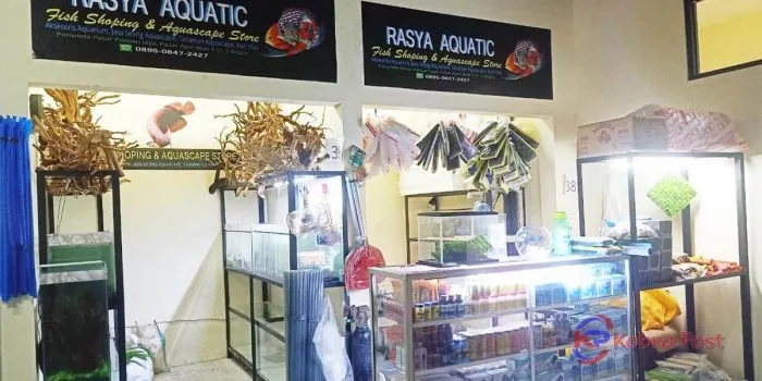Sentra Ikan Hias Terbesar Hadir di Blok F Pasar Kebon Kembang Bogor