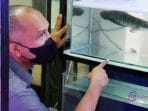Cari Ikan Hias, Silahkan Ke Bogor Aquatic Center