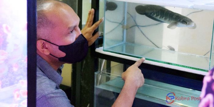 Cari Ikan Hias, Silahkan Ke Bogor Aquatic Center