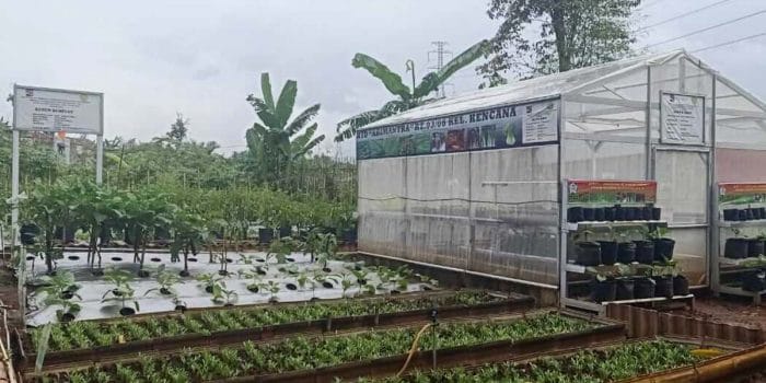 KTD Abimantra Kencana, Ikut Lomba Urban Farming Tingkat Jabar