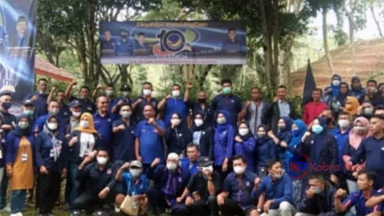 DPD Nasdem