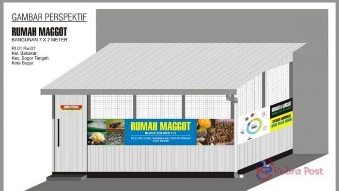 rumah maggot