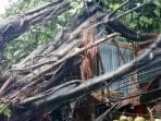 Angin Puting Beliung Hempas Kota Bogor