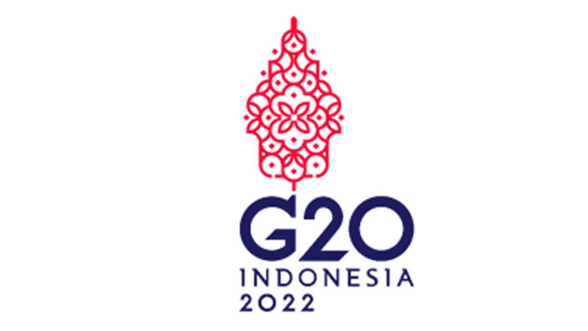 G20 TIIWG