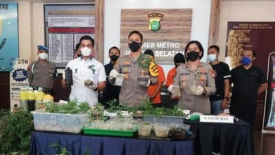 Polisi Bongkar Budidaya Ganja Hidroponik di Bekasi
