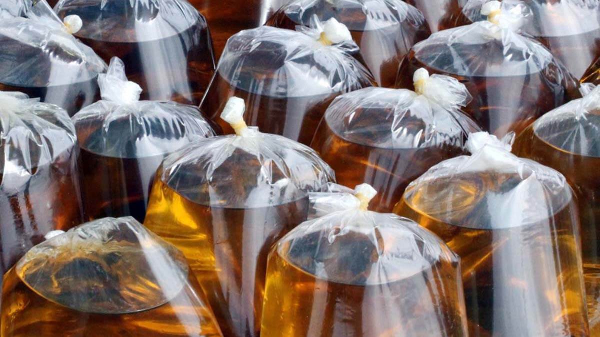 Distribusi MGC Bersubsidi Penuhi Kebutuhan Nasional