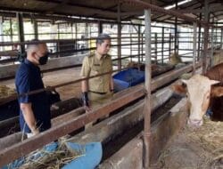 Dedie Pastikan Hewan Ternak di RPH Bubulak Miliki SKKD