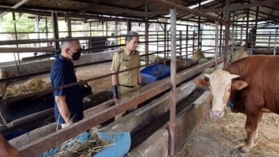 Dedie Pastikan Hewan Ternak di RPH Bubulak Miliki SKKD
