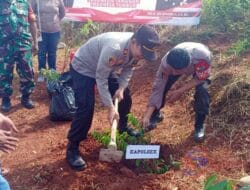Polsek Rancabungur Bersama Muspika Tanam 76 Pohon Buah