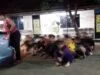 aksi tawuran