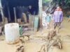 pasca banjir bandang