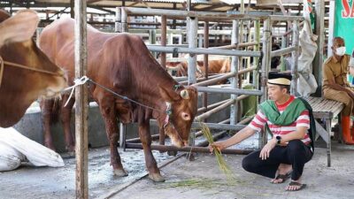 Gencarkan Edukasi Terkait PMK, Dedie Ingatkan Semua Unsur