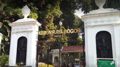 kebun raya bogor