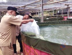 Desa Batutulis Nanggung Luncurkan Program Ketahanan Pangan di Bidang Perikanan