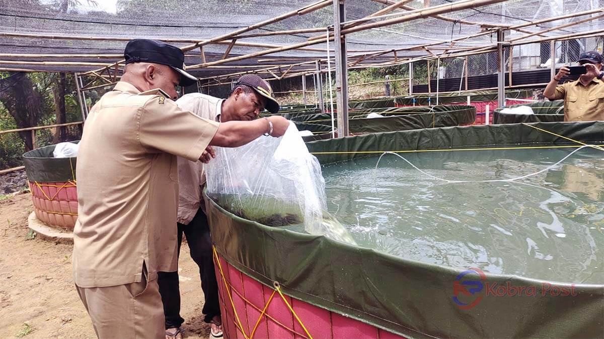 Desa Batutulis Nanggung Luncurkan Program Ketahanan Pangan di Bidang Perikanan