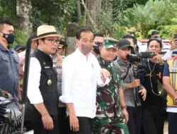 Presiden Jokowi Instruksikan Seluruh Jajaran Bantu Penanganan Pasca Bencana pelukis jalanan