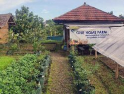 Merintis Kampung Tematik Abiu Katulampa