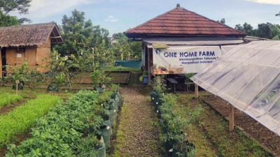 Merintis Kampung Tematik Abiu Katulampa