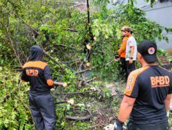 8 Kejadian Bencana Alam di Kota Bogor Dalam Sehari 20