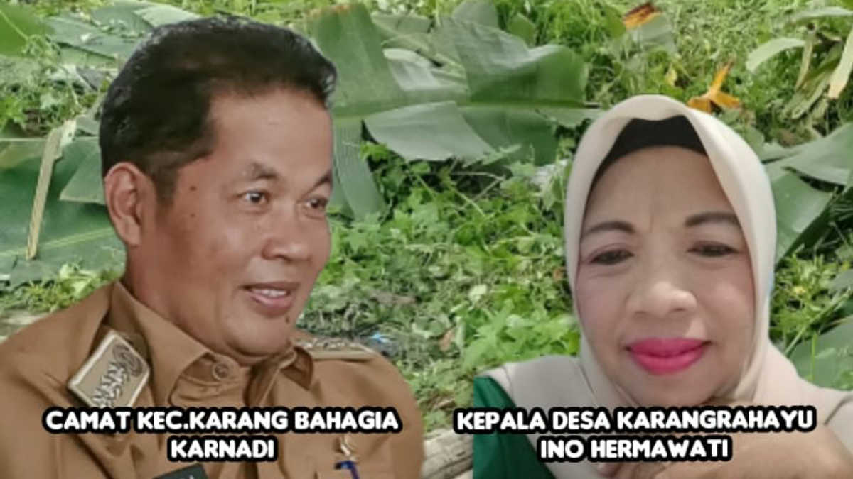 Padat Karya