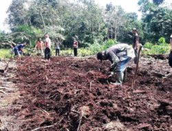 HPL adalah hak pengelolaan