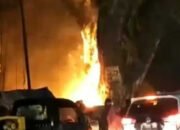 Pohon Jubleg di Parung Tiba-tiba Terbakar