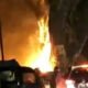 Pohon Jubleg di Parung Tiba-tiba Terbakar